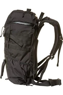 MYSTERY RANCH 2 Day Assault Backpack - Tactical Packs Molle Daypack, LG/XL Black -Backpack Shop 41IQQekYhsL