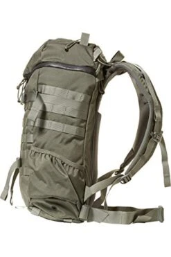 MYSTERY RANCH 2 Day Assault Backpack - Tactical Packs Molle Daypack, LG/XL Foliage -Backpack Shop 41S1A0tN 0L