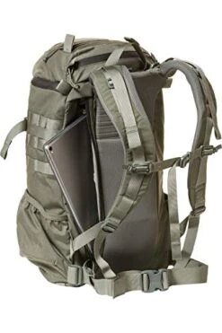 MYSTERY RANCH 2 Day Assault Backpack - Tactical Packs Molle Daypack, LG/XL Foliage -Backpack Shop 41T 40T00YL