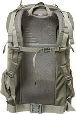 MYSTERY RANCH 2 Day Assault Backpack - Tactical Packs Molle Daypack, LG/XL Foliage -Backpack Shop 51yvk45banL