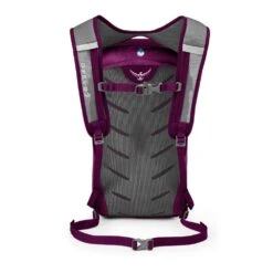 Osprey Packs Daylite Daypack, Eggplant Purple 7 Osprey Packs Daylite Daypack, Eggplant Purple -Backpack Shop 61cU91SK8HL