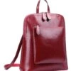 Heshe Women's Vintage Leather Backpack Casual Daypack For Ladies And Girls (Wine-R)