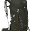 Osprey Packs Talon 33 Men's Hiking Backpack, Yerba Green, Medium/Large