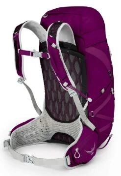 Osprey Packs Tempest 30 Women's Hiking Backpack, Mystic Magenta, Ws/M, Small/Medium -Backpack Shop 71LGJM1qd3L