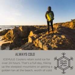 IceMule Classic Insulated Backpack Cooler Bag - Hands-Free, Collapsible, And Waterproof, This Portable Cooler Is An Ideal Sling Backpack For Hiking, The Beach, Picnics And Camping-Small, Olive -Backpack Shop 71ZR005 2ByjL
