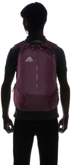 Gregory Mountain Products Sketch 18 Liter Daypack, Zin Purple, One Size -Backpack Shop 71jYobdASKL