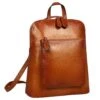 Heshe Women's Vintage Leather Backpack Casual Daypack For Ladies And Girls (Sorrel)