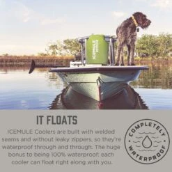 IceMule Classic Insulated Backpack Cooler Bag - Hands-Free, Collapsible, And Waterproof, This Portable Cooler Is An Ideal Sling Backpack For Hiking, The Beach, Picnics And Camping-Small, Olive -Backpack Shop 815VpK73NGL