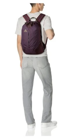 Gregory Mountain Products Sketch 18 Liter Daypack, Zin Purple, One Size -Backpack Shop 81KaTMO 2BYcL