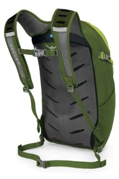 Osprey Packs Daylite Plus Daypack, Granny Smith Gr -Backpack Shop 81RevnlO0oL