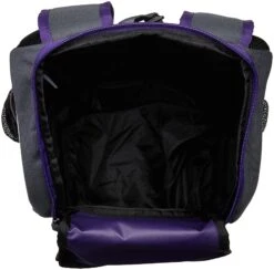EASTON GAME READY Bat & Equipment Backpack Bag | Baseball Softball | 2020 | Purple | 2 Bat Pockets | Vented Main Compartment | Vented Shoe Pocket | Zippered Valuables Pocket | Fence Hook -Backpack Shop 81WDtSc 2B1 2BL