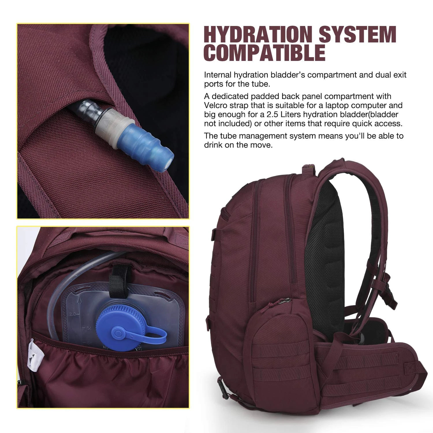 Mardingtop 35L Tactical Backpacks Molle Hiking Daypacks For Camping Hiking Military Traveling Purplish-35L 2 Mardingtop 35L Tactical Backpacks Molle Hiking Daypacks For Camping Hiking Military Traveling Purplish-35L - Image 2