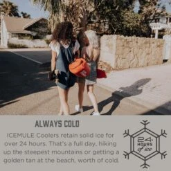 IceMule Classic Insulated Backpack Cooler Bag - Hands-Free, Collapsible, And Waterproof, This Portable Cooler Is An Ideal Sling Backpack For Hiking, The Beach, Picnics And Camping-Small, Crimson -Backpack Shop 81oANt 2BZthL