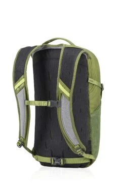 Gregory Mountain Products Nano 18 Liter Daypack, Mantis Green, One Size -Backpack Shop 81oFSzQeHTL