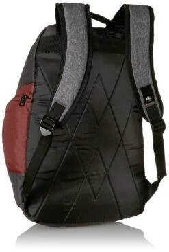 Quiksilver Men's 1969 Special Backpack, Andora, 1SZ -Backpack Shop 81oJNZfdNIL