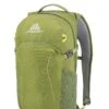Gregory Mountain Products Nano 18 Liter Daypack, Mantis Green, One Size