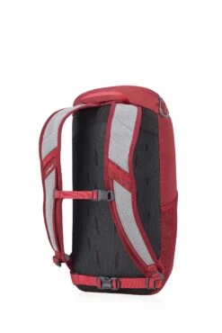 Gregory Mountain Products Nano 16 Liter Daypack, Fiery Red, One Size -Backpack Shop 81vFPEBIHZL