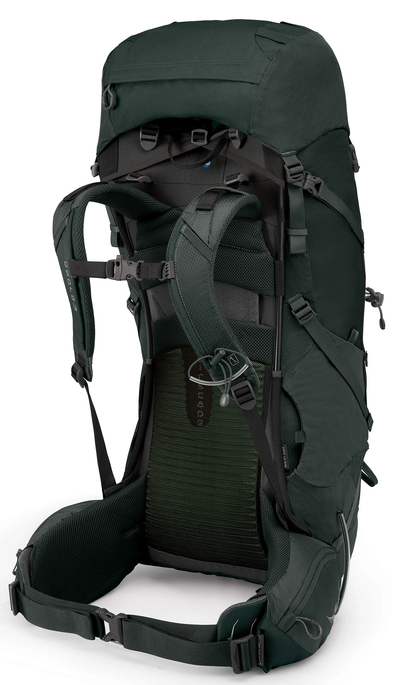 Osprey Packs Volt 60 Backpacking Pack Conifer Green 4 Osprey Packs Volt 60 Backpacking Pack Conifer Green - Image 4