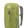 Gregory Mountain Products Nano 16 Liter Daypack, Mantis Green, One Size