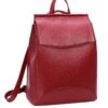 Heshe Womens Leather Backpack Casual Style Flap Backpacks Daypack For Ladies (Wine-R)