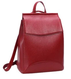 Heshe Womens Leather Backpack Casual Style Flap Backpacks Daypack For Ladies (Wine-R)