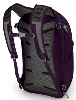 Osprey Packs Daylite Travel Daypack, Amulet Purple 5 Osprey Packs Daylite Travel Daypack, Amulet Purple -Backpack Shop 911Hw4eKN3L