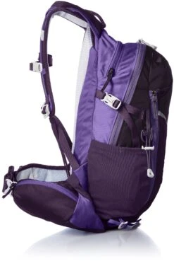 Gregory Mountain Products Maya 16 Liter Women's Daypack, Mountain Purple, One Size -Backpack Shop 9169OVb5VEL