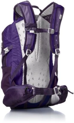 Gregory Mountain Products Maya 16 Liter Women's Daypack, Mountain Purple, One Size -Backpack Shop 917Uy8ufI9L
