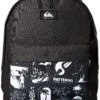 Quiksilver Men's Everyday Poster Double Backpack, White, 1SZ