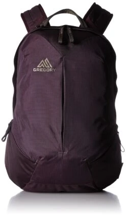 Gregory Mountain Products Sketch 18 Liter Daypack, Zin Purple, One Size -Backpack Shop 91AxrPF2esL
