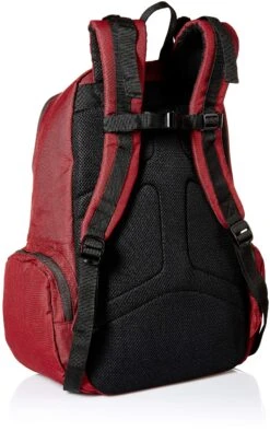DC Men's The Breed Skateboard Backpack, Cabernet, 1SZ -Backpack Shop 91Eupp0OLaL
