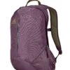 Gregory Mountain Products Sketch 18 Liter Daypack, Zin Purple, One Size