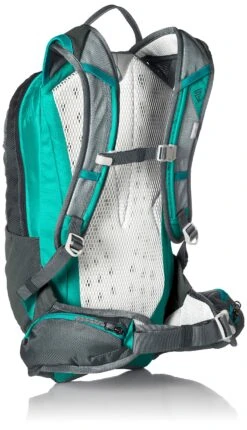 Gregory Mountain Products Maya 10 Liter Women's Daypack, Dove Grey, One Size -Backpack Shop 91H2XEbvIvL