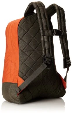 Gregory Mountain Products Kletter Daypack, Rust, One Size -Backpack Shop 91SAmtLBBUL