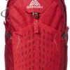 Gregory Mountain Products Nano 20 Liter Daypack, Fiery Red, One Size