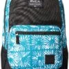 RVCA Men's ESTATE DELUX BACKPACK, Teal, One Size