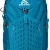 Gregory Mountain Products Nano 20 Liter Daypack, Meridian Teal, One Size