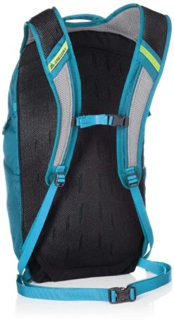 Gregory Mountain Products Nano 20 Liter Daypack, Meridian Teal, One Size -Backpack Shop 91bO7WXxntL