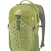 Gregory Mountain Products Nano 20 Liter Daypack, Mantis Green, One Size