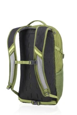 Gregory Mountain Products Nano 20 Liter Daypack, Mantis Green, One Size -Backpack Shop 91jcZIjegAL
