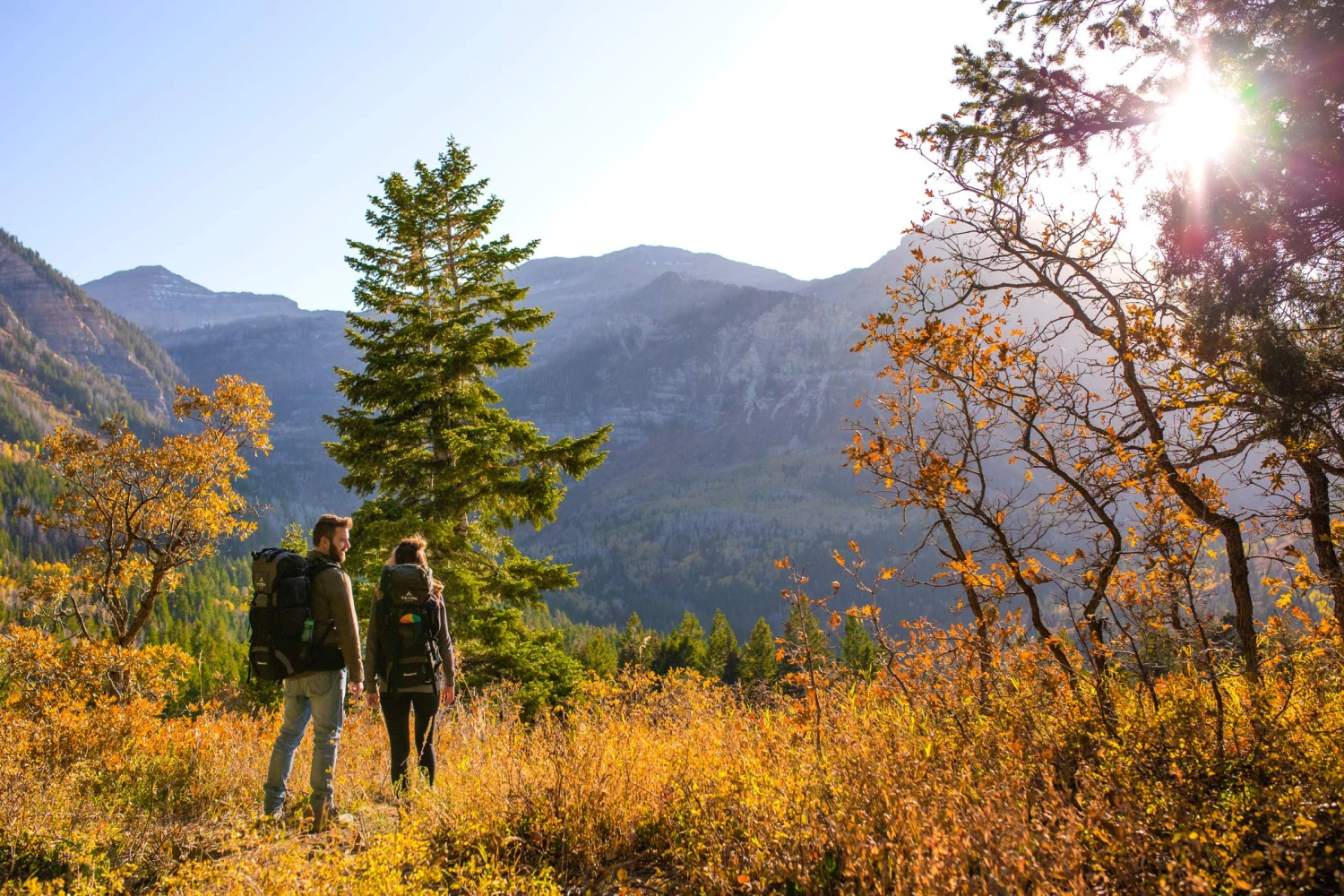 TETON Sports Scout 3400 Internal Frame Backpack; High-Performance Backpack For Backpacking, Hiking, Camping; Tan 2 TETON Sports Scout 3400 Internal Frame Backpack; High-Performance Backpack For Backpacking, Hiking, Camping; Tan - Image 2