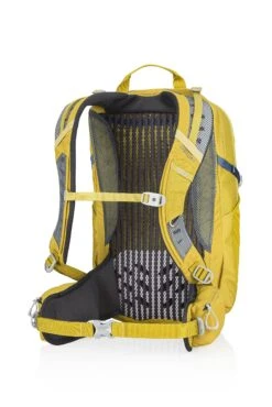 Gregory Mountain Products Citro 20 Liter 3D-Hydro Men's Daypack, Mineral Yellow, One Size -Backpack Shop 91pHPMJ3VoL