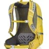 Gregory Mountain Products Citro 25 Liter 3D-Hydro Men's Daypack, Mineral Yellow, One Size