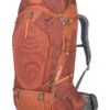 Gregory Mountain Products Men's Baltoro 65 Liter Backpack, Ferrous Orange, Small