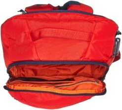 Patagonia Tres Pack 25L Daypack -Backpack Shop 91xWz1z4HAL