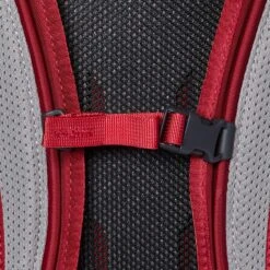 Gregory Mountain Products Nano 16 Liter Daypack, Fiery Red, One Size -Backpack Shop A11zCAFTbdL